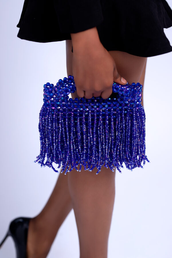 IMG_9052 Shakara Clutch ~ Royal