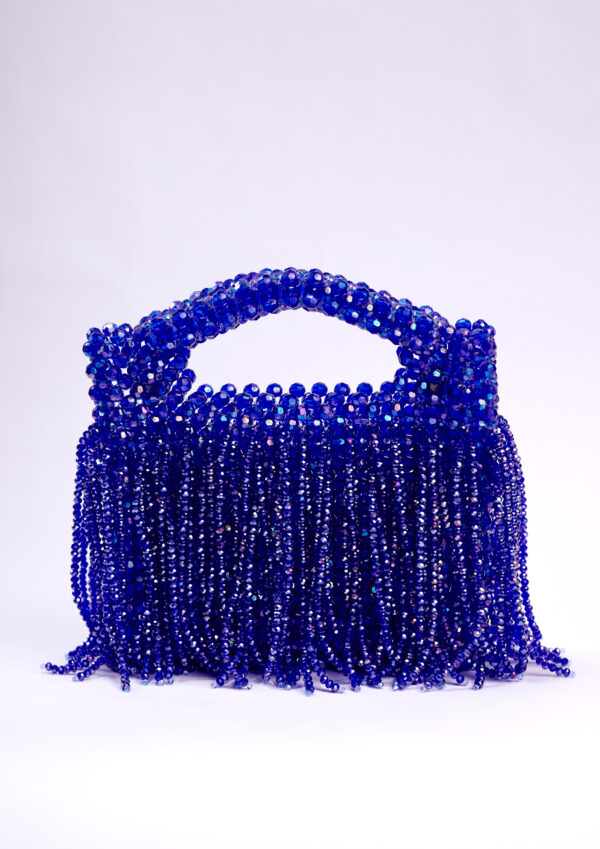 IMG_9058 Shakara Clutch ~ Royal